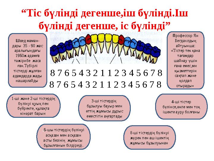 “Тіс бүлінді дегенше,іш бүлінді.Іш бүлінді дегенше, іс бүлінді” 8 7 6 5 4 3 2 1 1 2 3 4 5 6 7