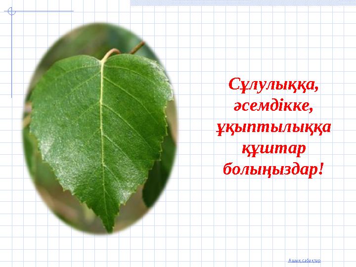 Ашық сабақтар Сұлулыққа, әсемдікке, ұқыптылыққа құштар болыңыздар!