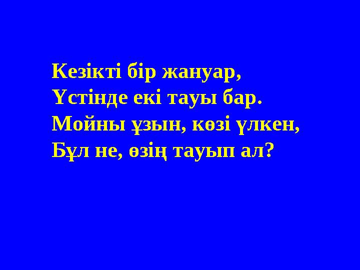 Кезікті бір жануар, Үстінде екі тауы бар. Мойны ұзын, көзі үлкен, Бұл не, өзің тауып ал?