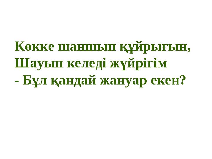 Көкке шаншып құйрығын, Шауып келеді жүйрігім - Бұл қандай жануар екен?