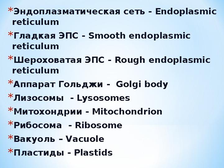 *Эндоплазматическая сеть - Endoplasmic reticulum *Гладкая ЭПС - Smooth endoplasmic reticulum *Шероховатая ЭПС - Rough endopl
