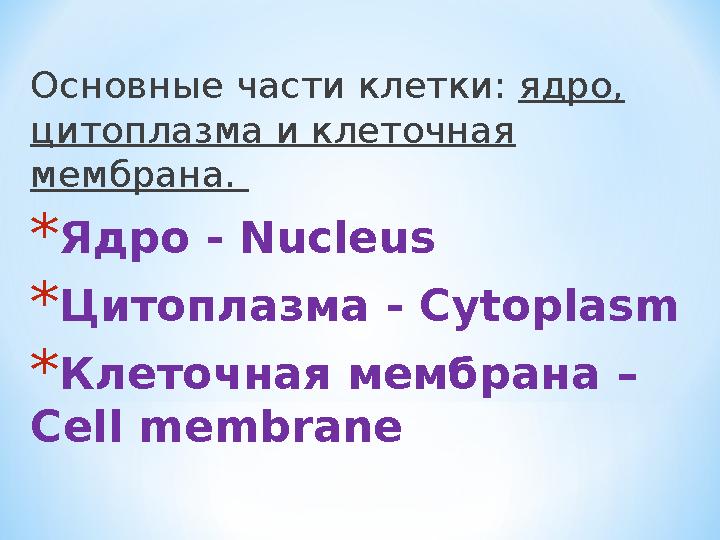 Основные части клетки: ядро, цитоплазма и клеточная мембрана. *Ядро - Nucleus *Цитоплазма - Cytoplasm *Клеточная мембрана