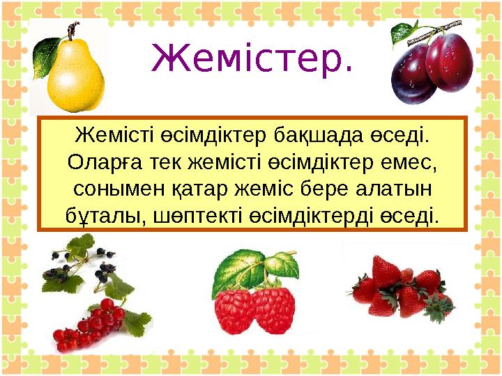 Жемістер. Жемісті өсімдіктер бақшада өседі. Оларға тек жемісті өсімдіктер емес, сонымен қатар жеміс бере алатын бұталы, шөпте
