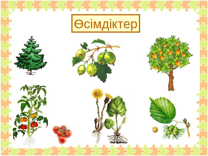 Өсімдіктер