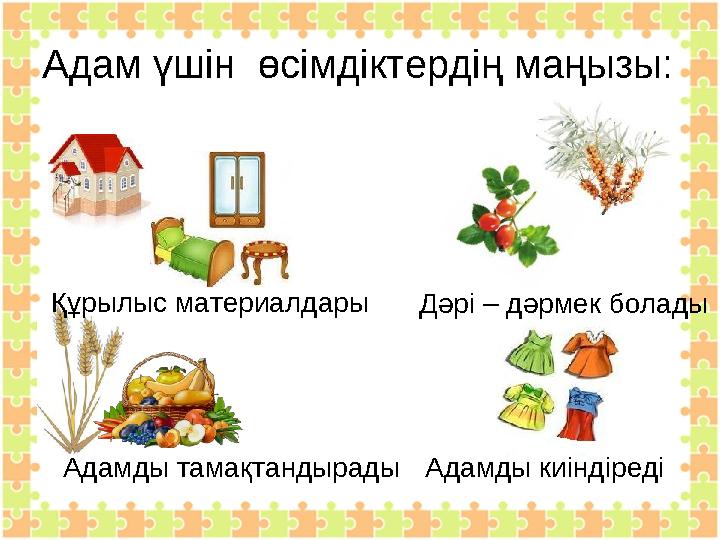 Адам үшін өсімдіктердің маңызы: Адамды тамақтандырады Дәрі – дәрмек боладыҚұрылыс материалдары Адамды киіндіреді