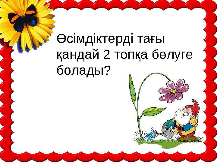 Өсімдіктерді тағы қандай 2 топқа бөлуге болады?