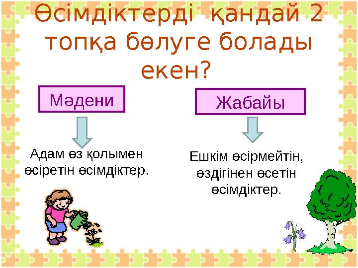 Өсімдіктерді қандай 2 топқа бөлуге болады екен? Адам өз қолымен өсіретін өсімдіктер. Ешкім өсірмейтін, өздігінен өсетін ө