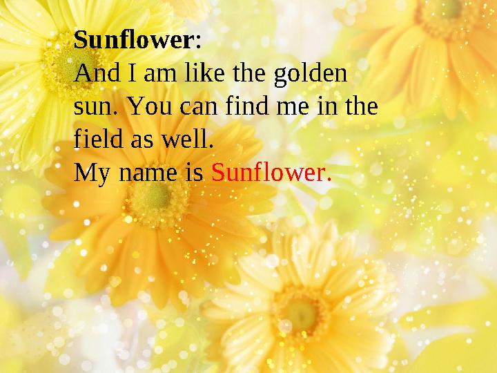 Sunflower : And I am like the golden sun. You can find me in the field as well. My name is Sunflower.