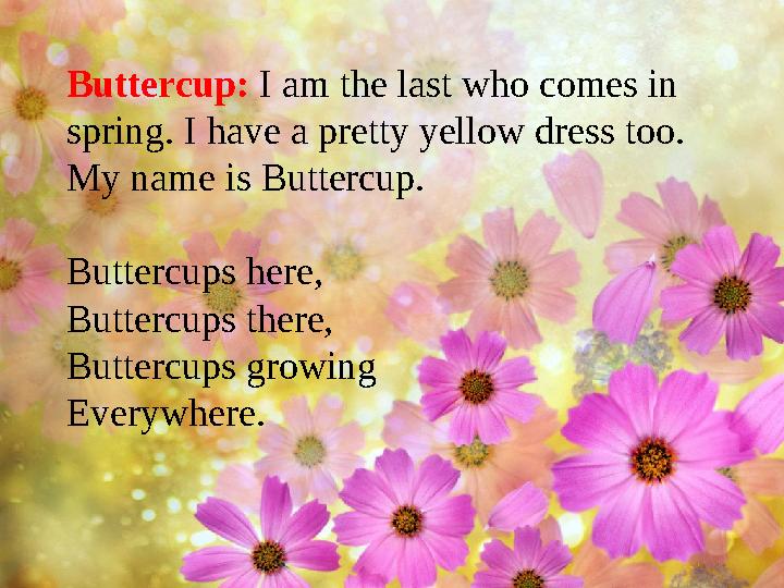 Buttercup: I am the last who comes in spring. I have a pretty yellow dress too. My name is Buttercup. Buttercups here, Butterc