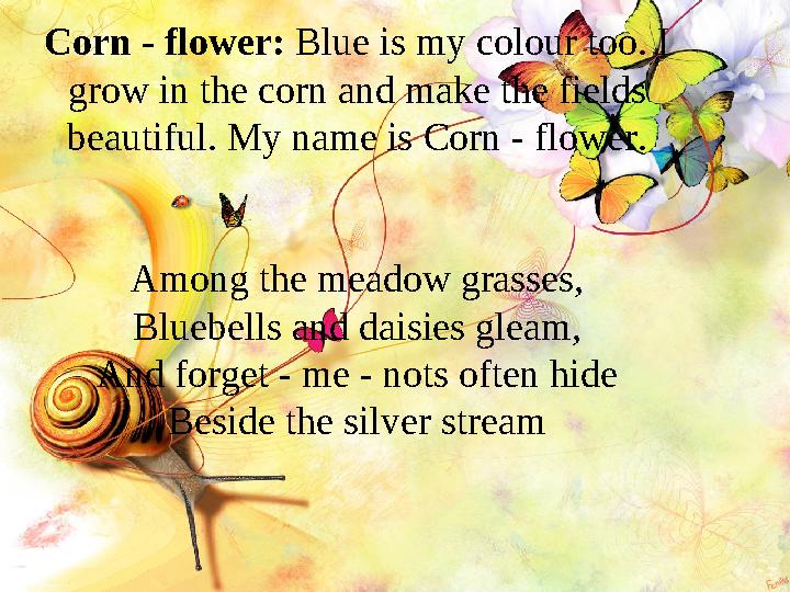 Corn - flower: Blue is my colour too. I grow in the corn and make the fields beautiful. My name is Corn - flower. Among the m