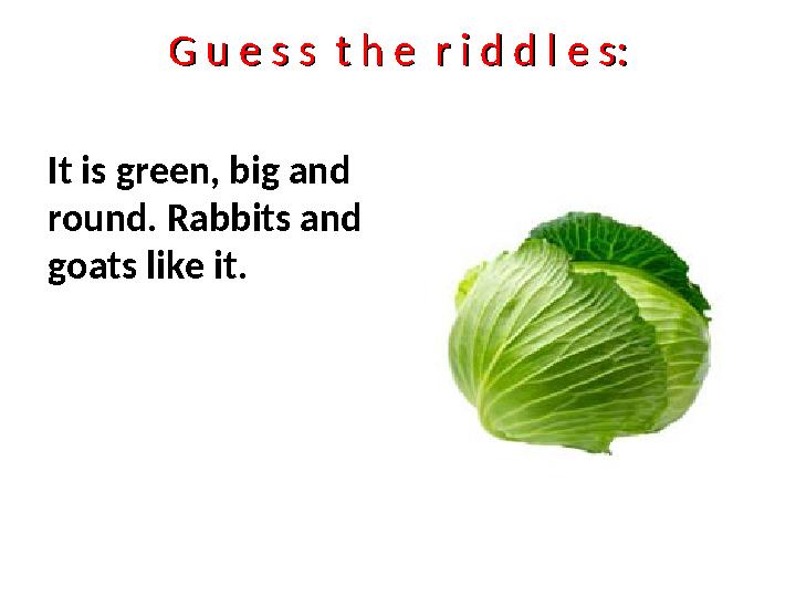 G u e s s t h e r i d d l e s:G u e s s t h e r i d d l e s: It is green, big and round. Rabbits and goats like it.