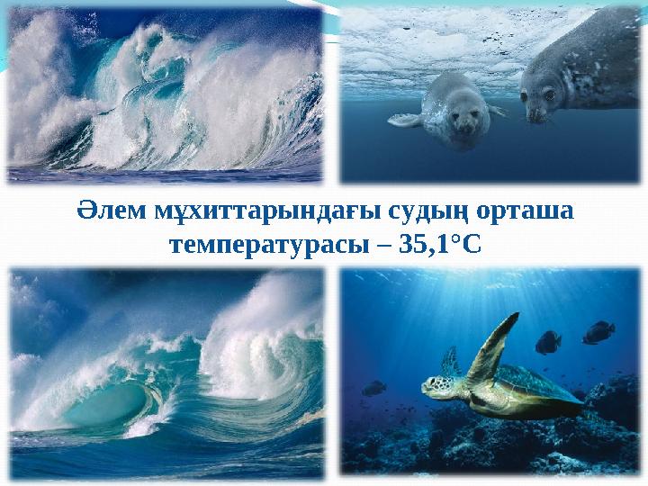 Әлем мұхиттарындағы судың орташа температурасы – 35 , 1°С