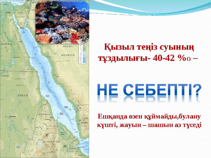 Ешқанда өзен құймайды,булану күшті, жауын – шашын аз түседі Қызыл теңіз суының тұздылығы- 40-42 % о –