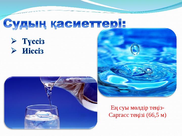 Ең суы мөлдір теңіз- Саргасс теңізі (66,5 м)