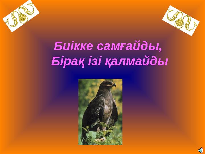 Биікке самғайды, Бірақ ізі қалмайды