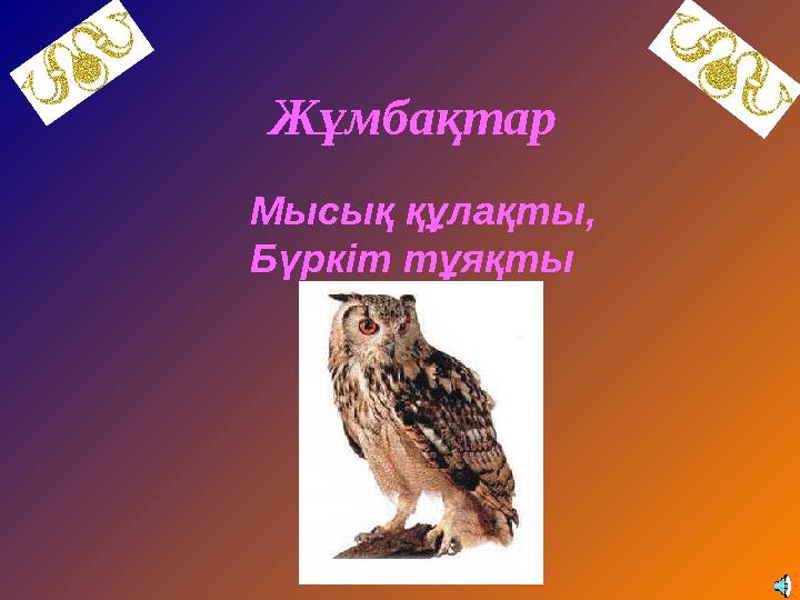 Жұмбақтар Мысық құлақты, Бүркіт тұяқты
