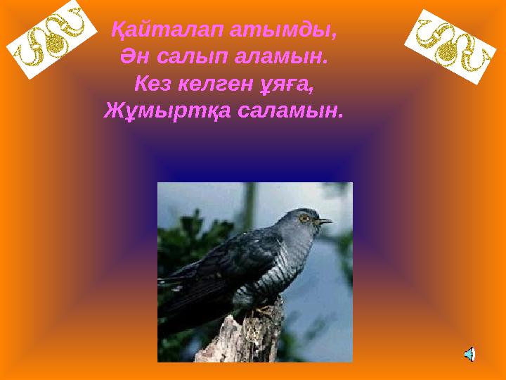 Қайталап атымды, Ән салып аламын. Кез келген ұяға, Жұмыртқа саламын.