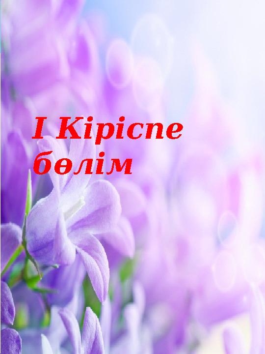 I Кіріспе бөлім