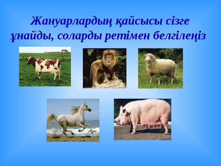 Жануарлардың қайсысы сізге ұнайды, соларды ретімен белгілеңіз