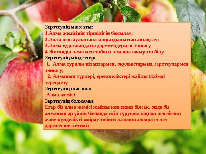 Зерттеудің мақсаты: 1. Алма жемісінің тіршілігін бақылау; 2. Адам денсаулығына маңыздылығын анықтау; 3. Алма құрамындағы дәруме