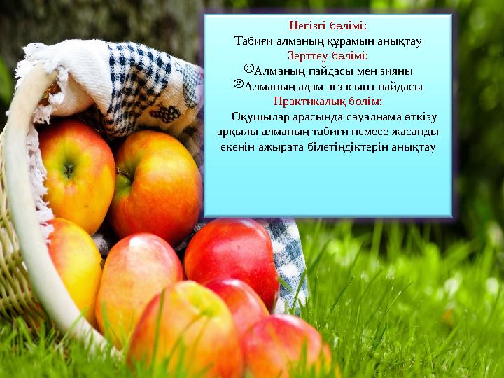 Негізгі бөлімі: Табиғи алманың құрамын анықтау Зерттеу бөлімі:  Алманың пайдасы мен зияны  Алманың адам ағзасына пайдасы Практ