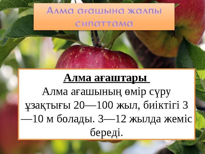 Қар мастурбациясы Винкс тек Музамен және оның кеуделерімен жыныстық қатынасқа түседі