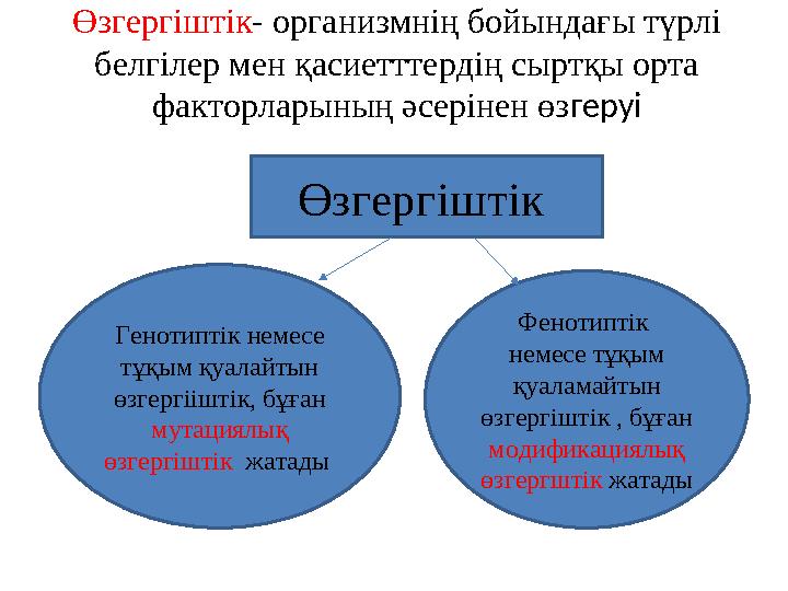 Өзгергіштік - организмнің бойындағы түрлі белгілер мен қасиетттердің сыртқы орта факторларының әсерінен өз геруі Өзгергіштік