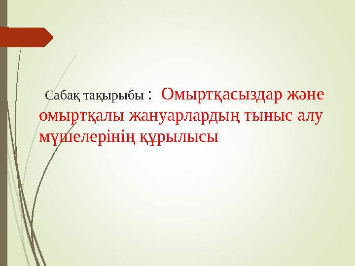 Сабақ тақырыбы : Омыртқасыздар және омыртқалы жануарлардың тыныс алу мүшелерінің құрылысы