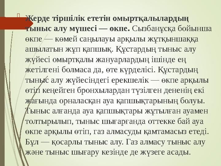  Жерде тіршілік ететін омыртқалылардың тыныс алу мүшесі — өкпе. Сызбанұсқа бойынша өкпе — көмей саңылауы арқылы жұтқыншаққа