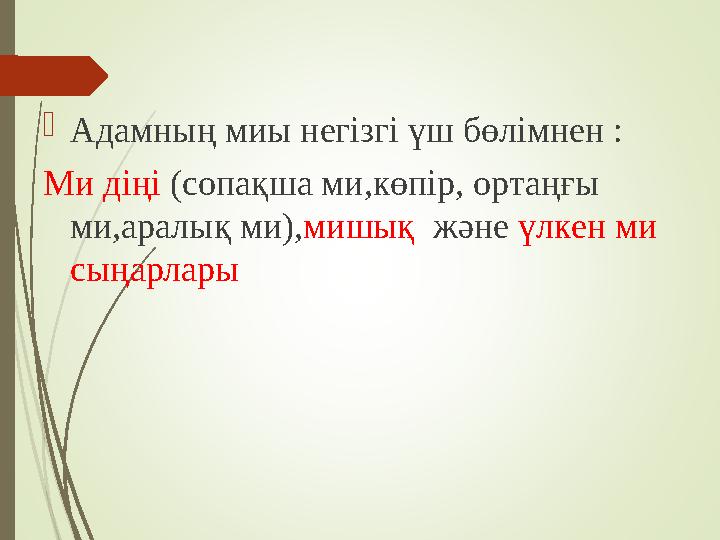  Адамның миы негізгі үш бөлімнен : Ми діңі (сопақша ми,көпір, ортаңғы ми,аралық ми), мишық және үлкен ми сыңарлары