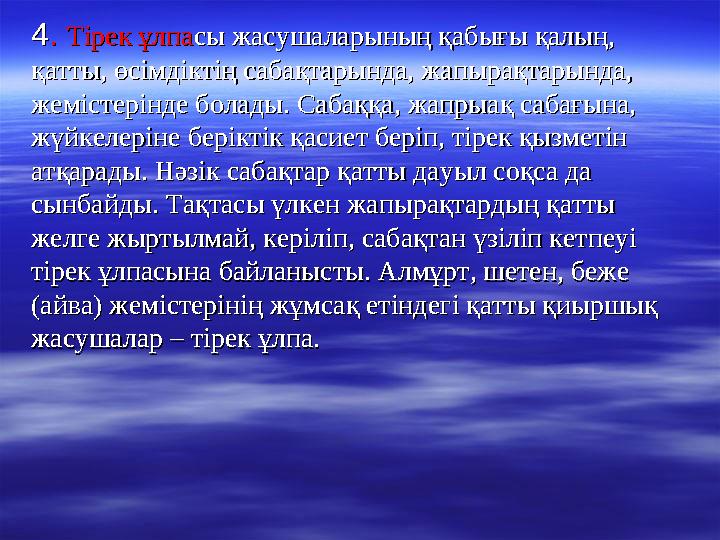 44 . . Тірек ұлпаТірек ұлпа сы жасушаларының қабығы қалың, сы жасушаларының қабығы қалың, қатты, өсімдіктің сабақтарында, жапы