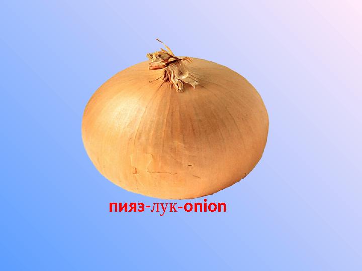 пияз - лук - onion