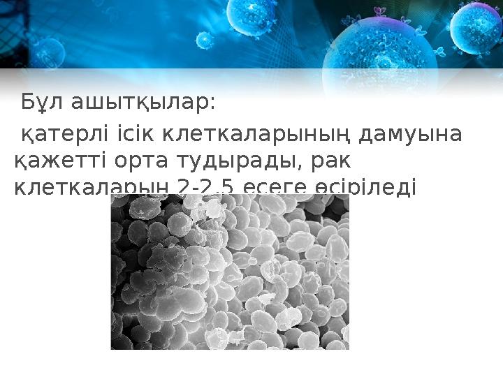 Бұл ашытқылар: қатерлі ісік клеткаларының дамуына қажетті орта тудырады, рак клеткаларын 2-2,5 есеге өсіріледі