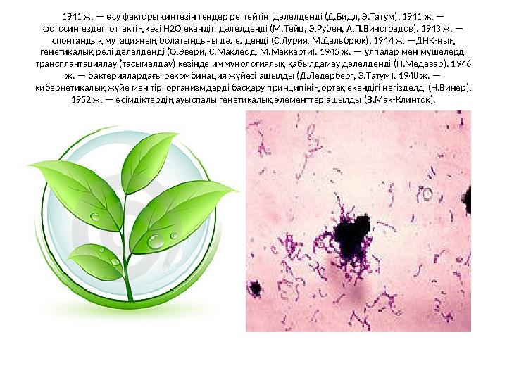 1941 ж. — өсу факторы синтезін гендер реттейтіні дәлелденді (Д.Бидл, Э.Татум). 1941 ж. — фотосинтездегі оттектің көзі Н2О екенд