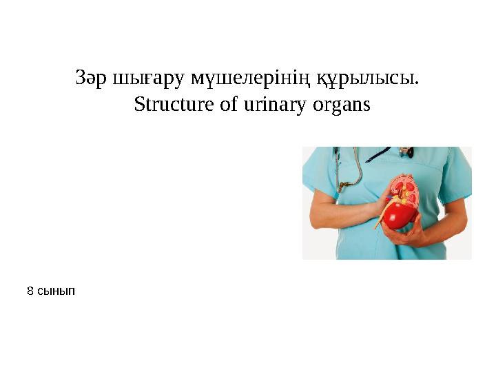 Зәр шығару мүшелерінің құрылысы. Structure of urinary organs 8 сынып