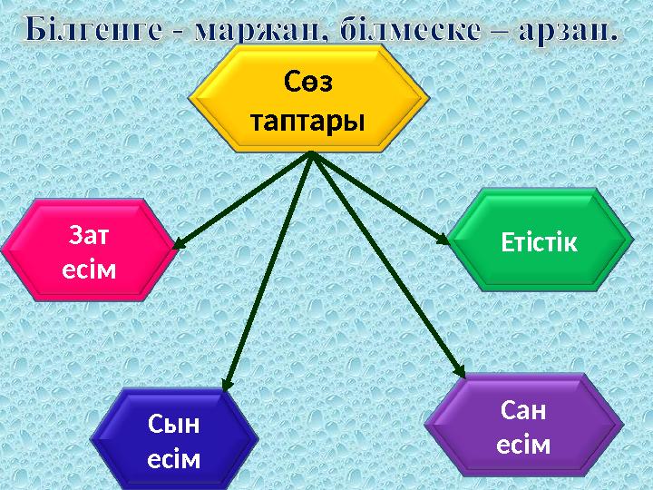 Зат есім Сын есім ЕтістікСөз таптары Сан есім