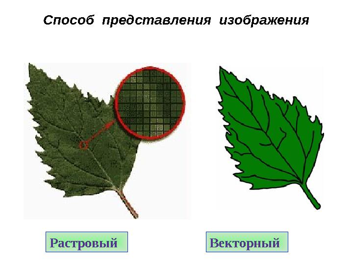 Растровый ВекторныйСпособ представления изображения