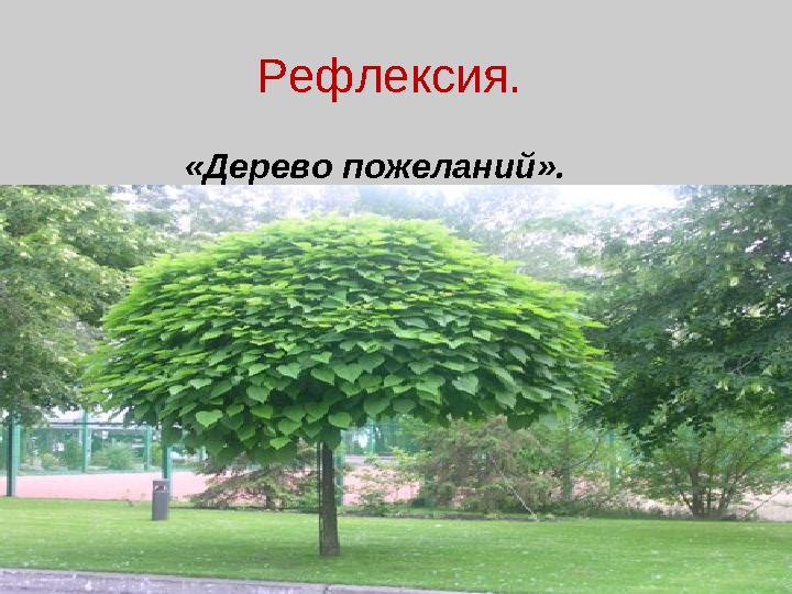 Рефлексия. «Дерево пожеланий».