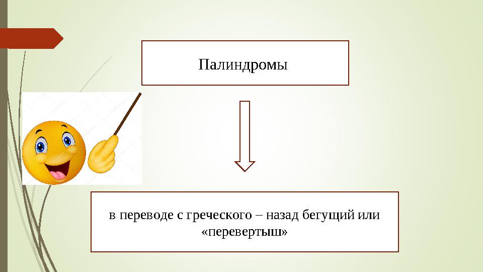 Палиндромы в переводе с греческого – назад бегущий или «перевертыш»