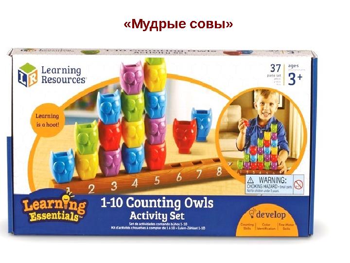 «Мудрые совы»