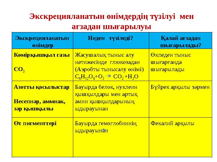 Экскрецияланатын өнімдердің түзілуі мен ағзадан шығарылуы Экскрецияланатын өнімдер Неден түзіледі? Қалай ағзадан шығарылад