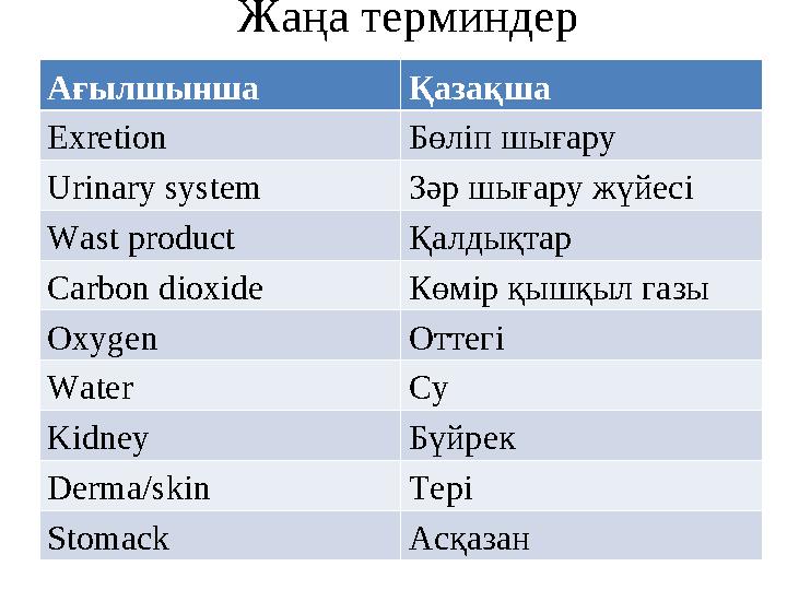 Жаңа терминдер Ағылшынша Қазақша Exretion Бөліп шығару Urinary system Зәр шығару жүйесі Wast product Қалдықтар Carbon dioxide Кө
