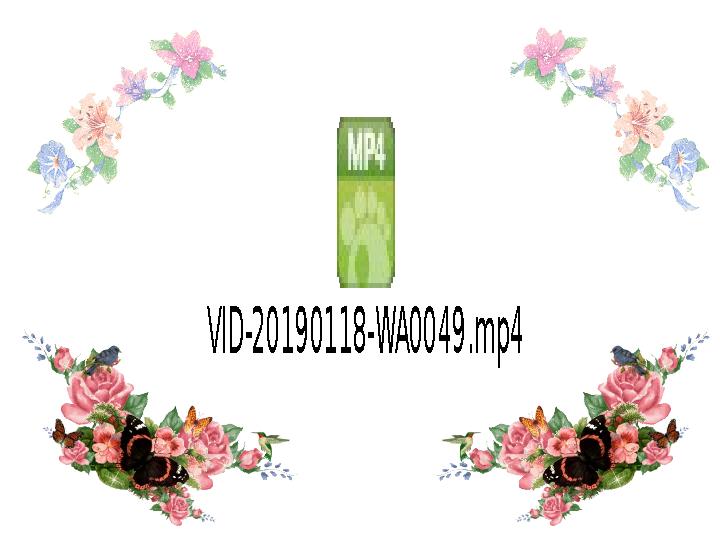 VID-20190118-WA0049.mp4