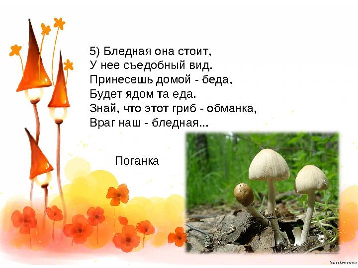 5) Бледная она стоит, У нее съедобный вид. Принесешь домой - беда, Будет ядом та еда. Знай, что этот гриб - обманка, Враг наш
