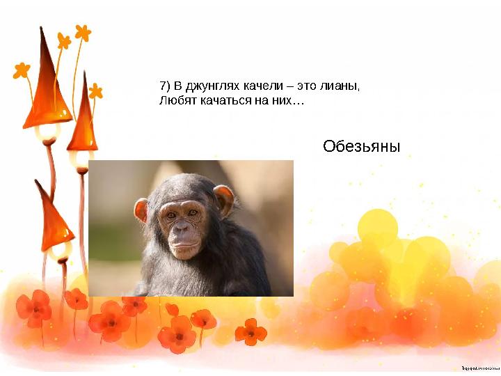 7) В джунглях качели – это лианы, Любят качаться на них… Обезьяны