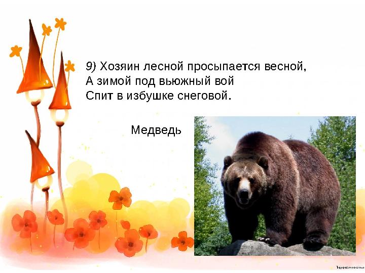 9) Хозяин лесной просыпается весной, А зимой под вьюжный вой Спит в избушке снеговой. Медведь