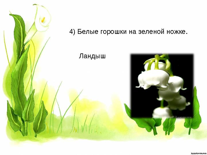 4) Белые горошки на зеленой ножке. Ландыш