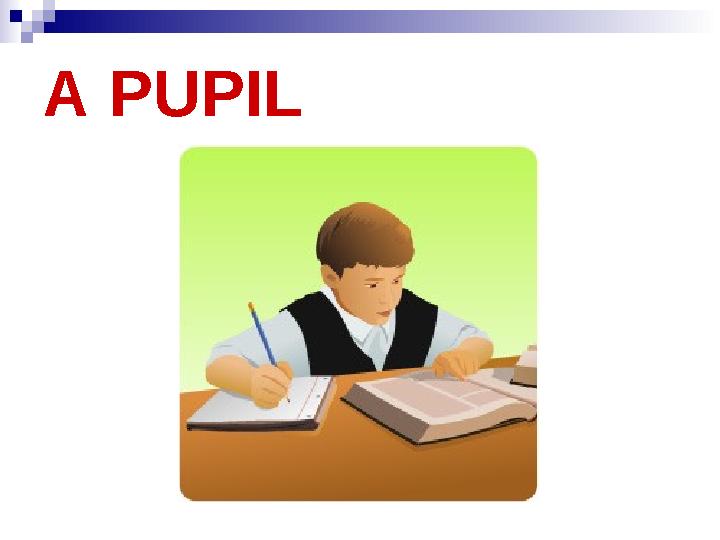 A PUPIL