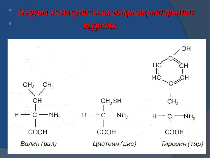 “ Ой қозғау” кезеңіОй қозғау” кезеңі Үй Үй тапсырмасы.Аминдер,амин тапсырмасы.Аминдер,амин қышқылдары.қышқылдары. 1.Азотты ор