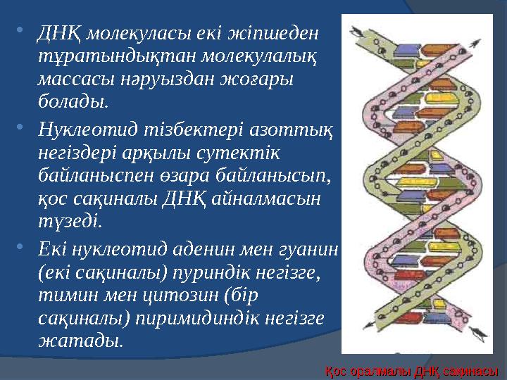 Химиялық Химиялық қасиеттеріқасиеттері 1.Белоктар — екідайлы электролиттер. Ортаның белгілі бір рН мәнінде олардың